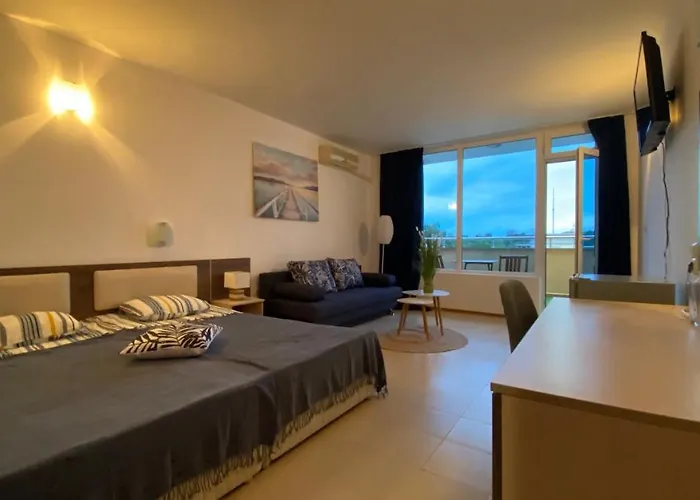 Esperanto 401 Large Sunny *